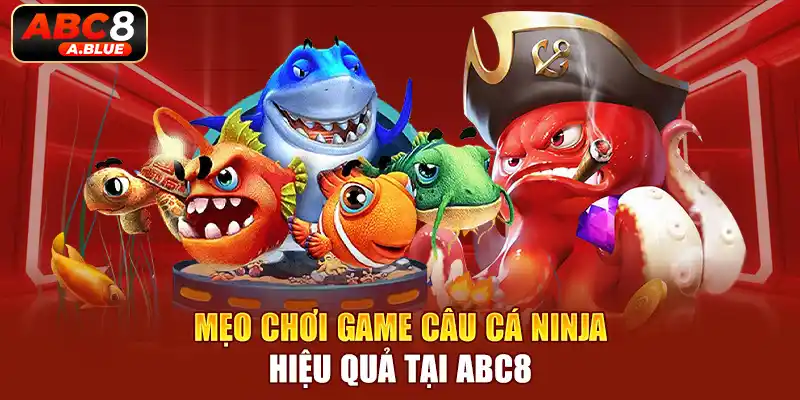 Những chia sẻ về kinh nghiệm chơi câu cá ninja