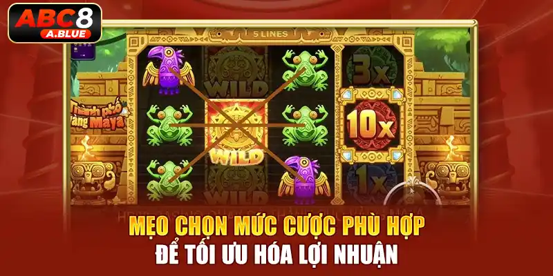 Tối ưu lợi nhuận dựa trên ưu thế lựa chọn mức cược